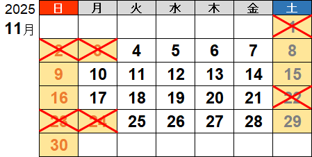 2025N11